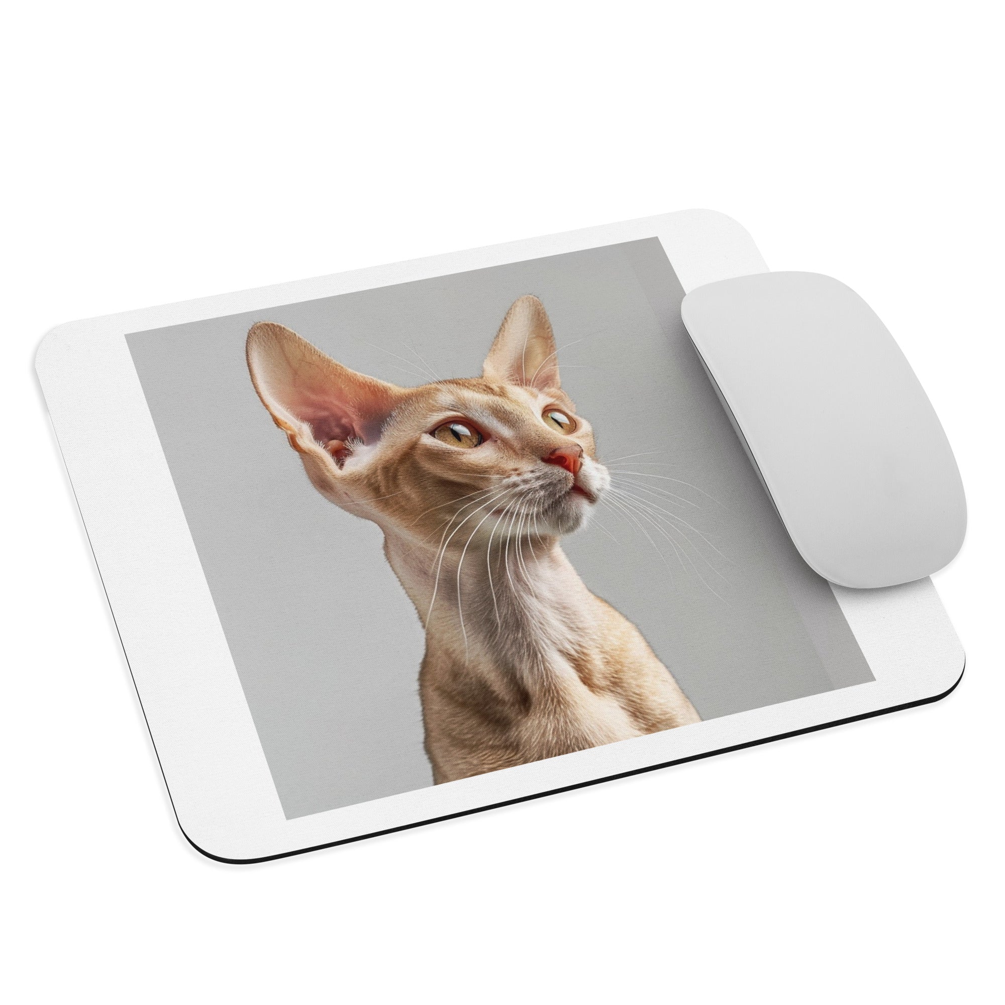 oriental shorthair cat Mouse pad