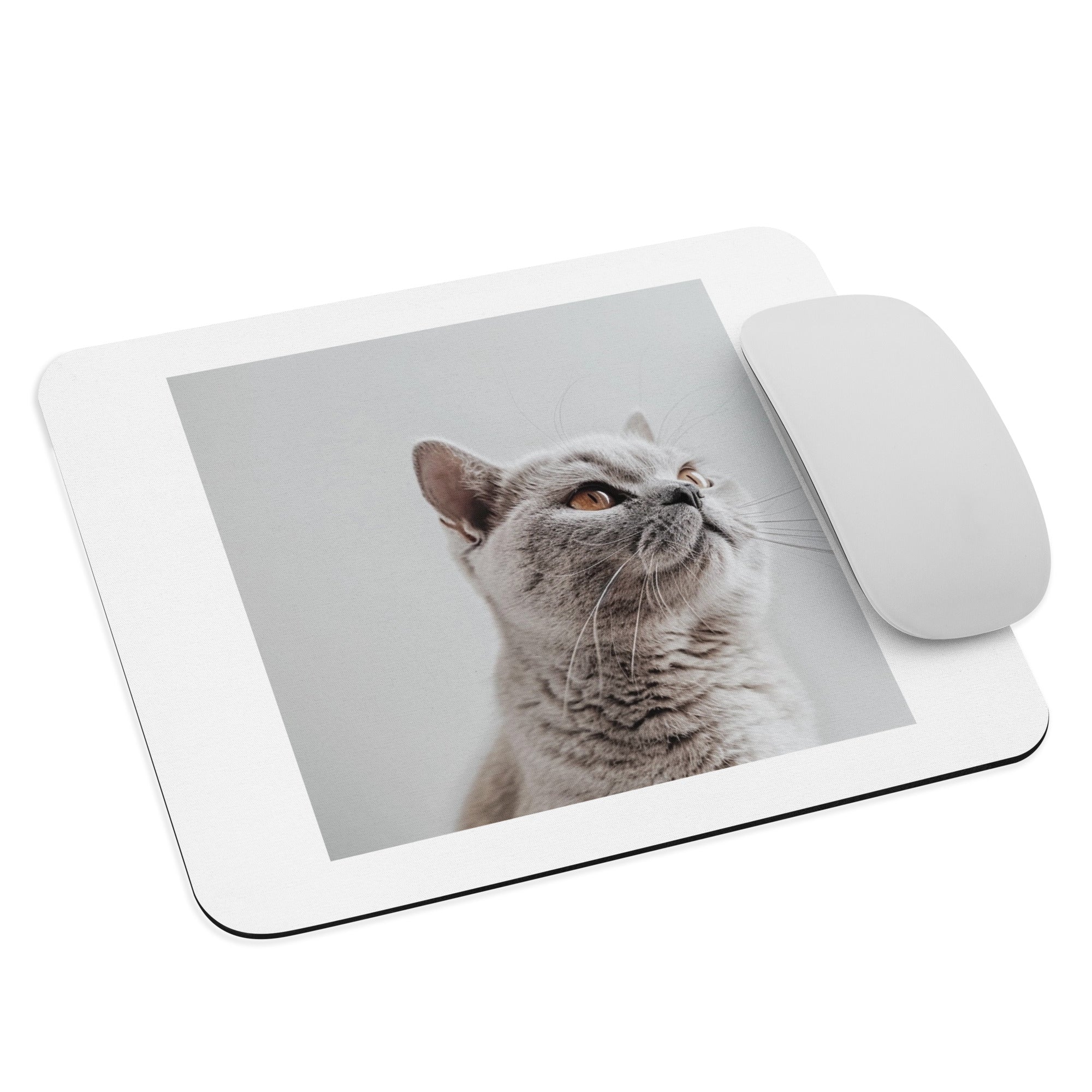 british shorthair cat Mouse pad